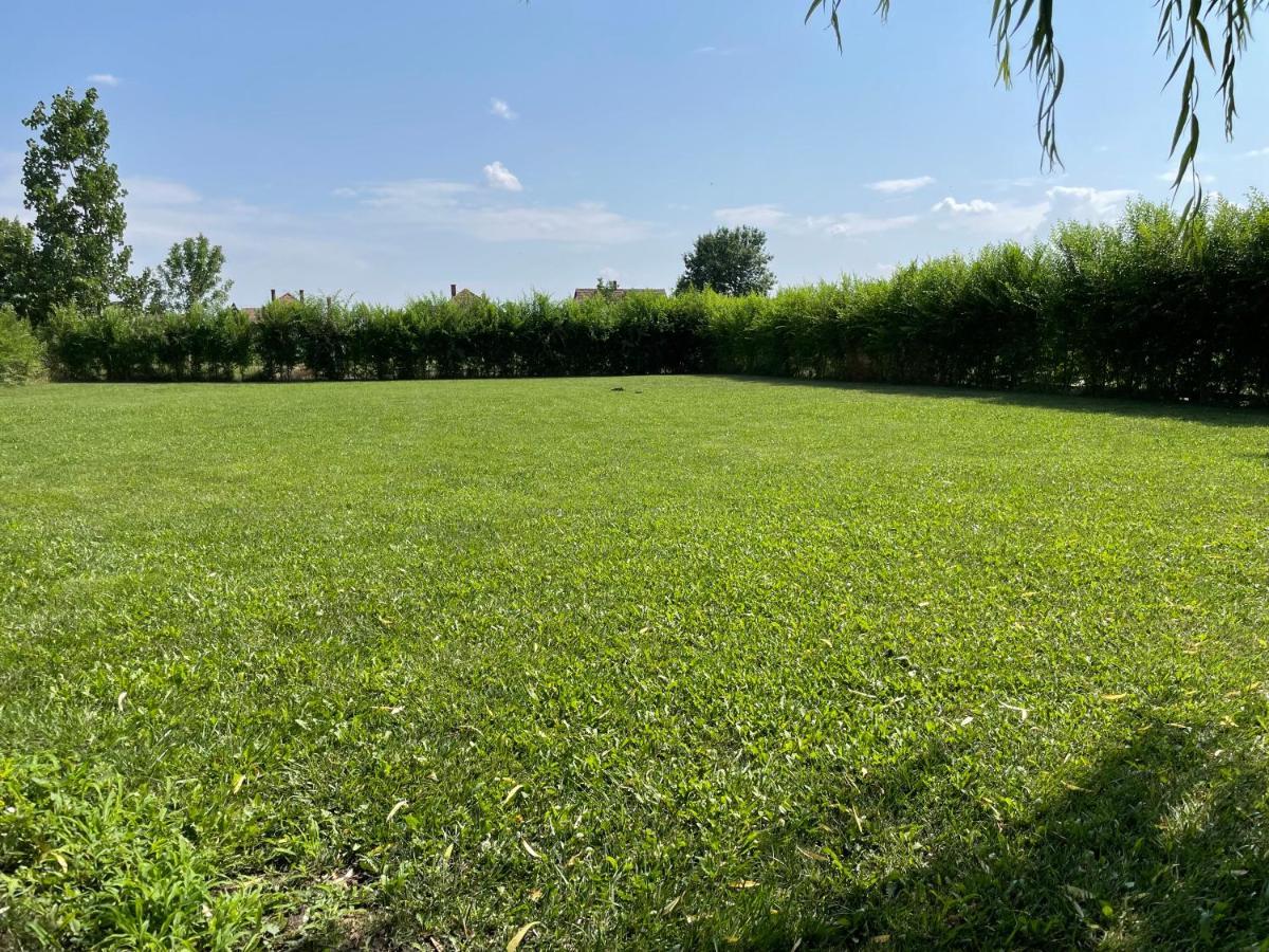 Battonya House公寓 外观 照片